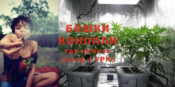 ешки Богданович