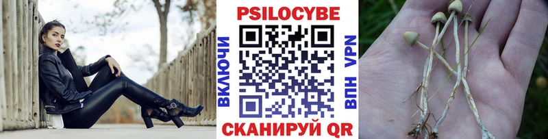 даркнет сайт  Бузулук  mega ONION  Галлюциногенные грибы мухоморы 